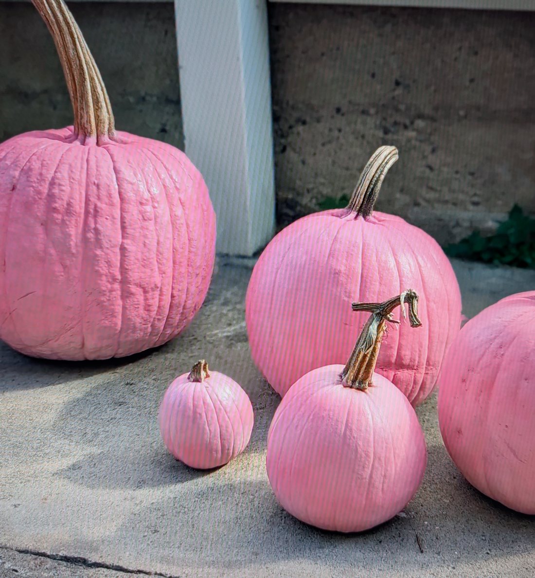 Five pumpkins painted pink, arranged by size on a concrete step